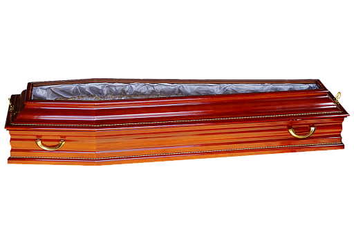 гроб Сириус Ковид